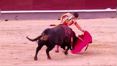 《斗牛》在线观看,热血激战,传奇诞生 第2张 《斗牛》在线观看,热血激战,传奇诞生 第2张